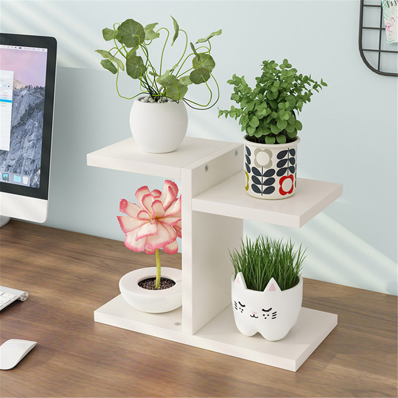Ebern Designs 3 Colours Mini Desk Plant Stand Display Flower Succulent